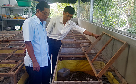 Hiệu quả mô hình sản xuất nông nghiệp hữu cơ tuần hoàn sinh thái không  chất thải  Viện Khoa học Nông nghiệp Việt Nam