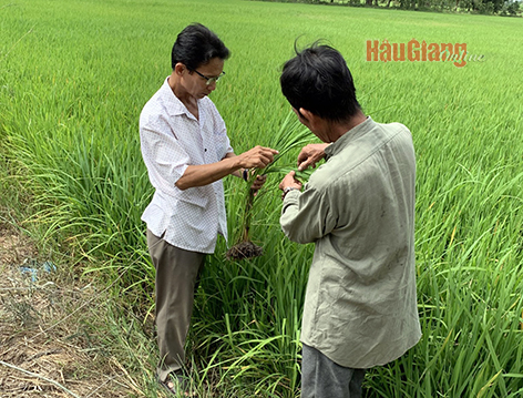 Hiệu quả các mô hình kinh tế nông nghiệp trong xây dựng nông thôn mới  Báo  Quảng Bình điện tử